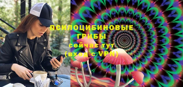 твердый Кущёвская
