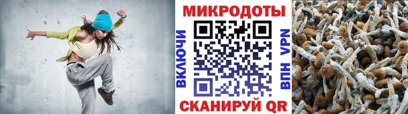 закладка  Тотьма  маркетплейс официальный сайт  Галлюциногенные грибы Cubensis 